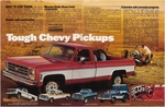 1979 Chevrolet Trucks-02